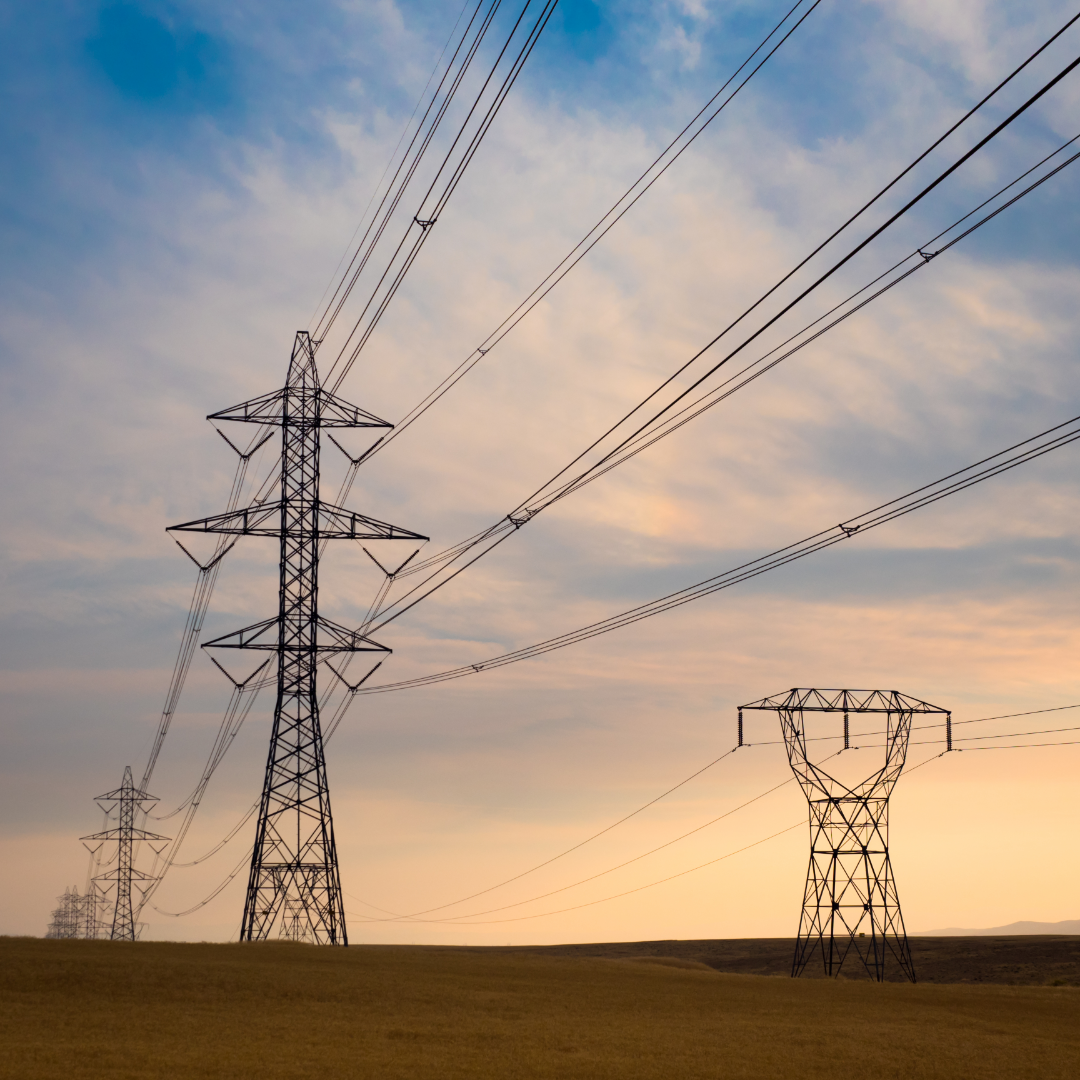 energy regulator