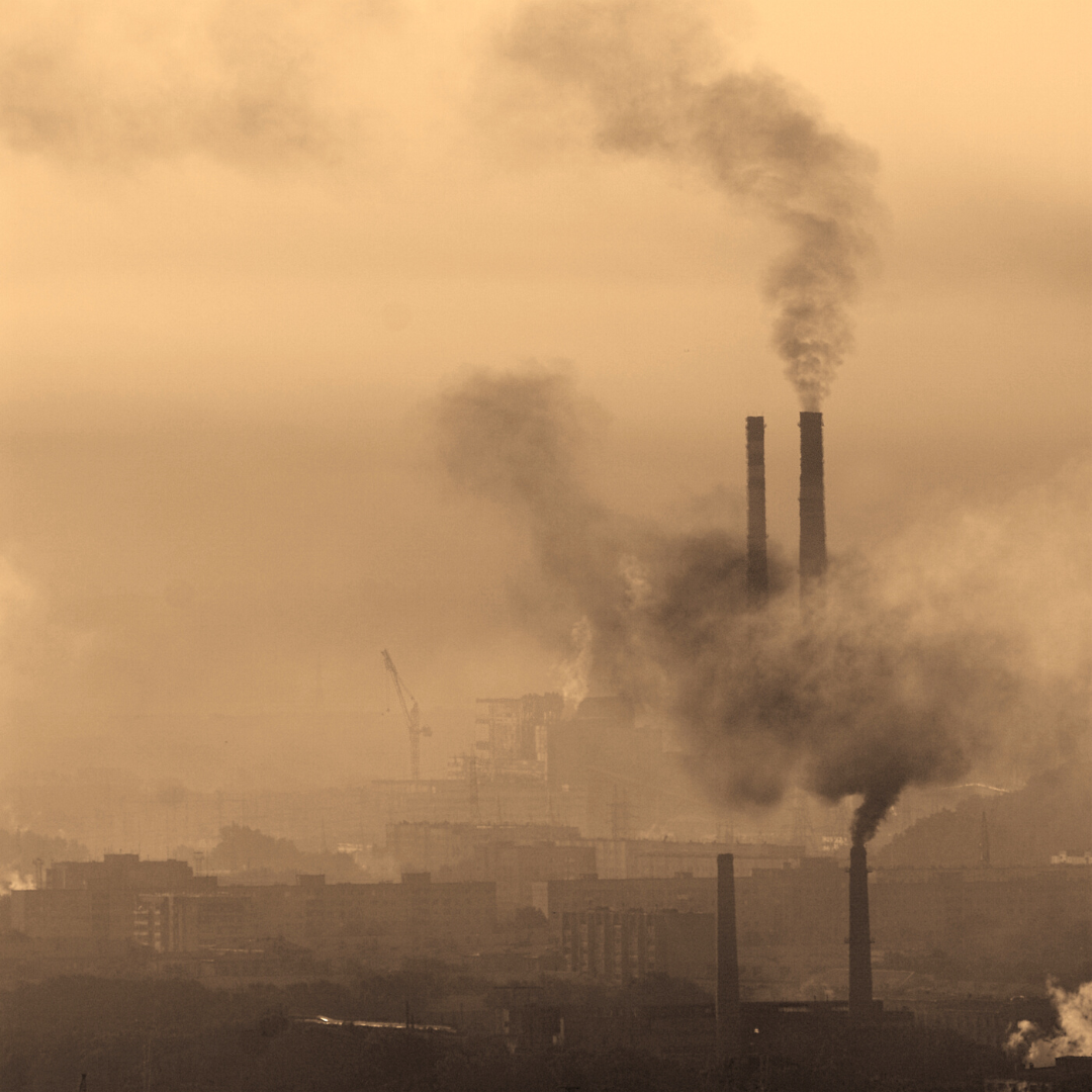 COP27